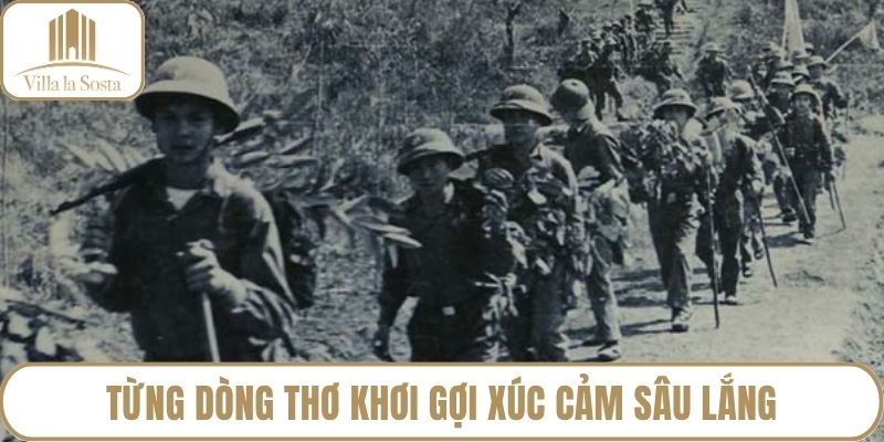 Từng dòng thơ khơi gợi xúc cảm sâu lắng