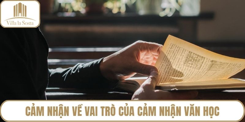 Cảm nhận về vai trò của cảm nhận văn học